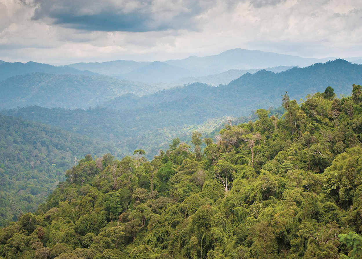 20120218_malaysia-4529_Malaysia_EC.jpg