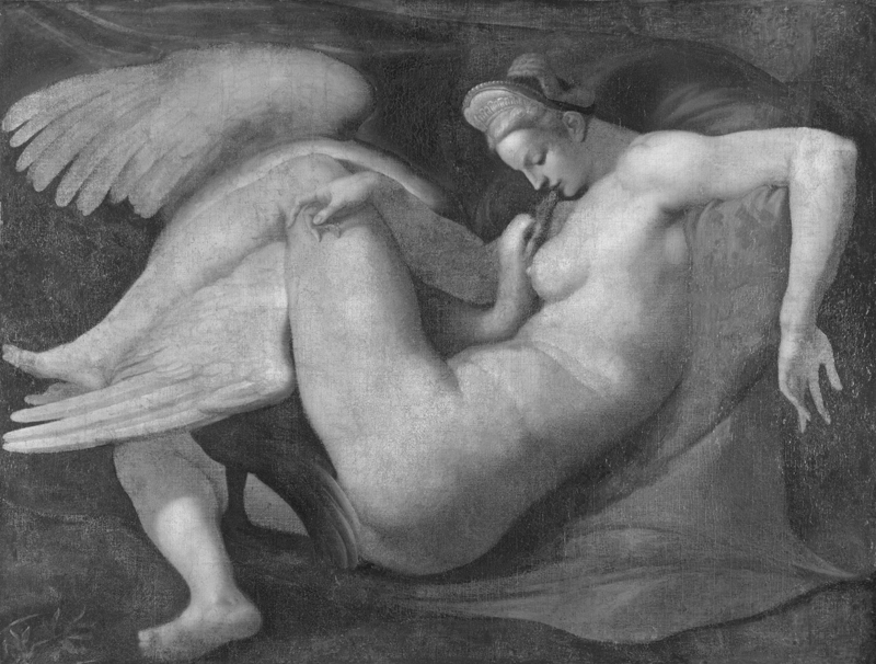 Una copia di Leda e il cigno di Michelangelo, attribuita a Rosso Fiorentino e oggi conservata alla National Gallery di Londra. L’originale di Michelangelo, una tempera su tavola, è andato perduto ma sopravvivono alcuni bozzetti, come il disegno preparatorio della testa di Leda conservato alla Casa Buonarroti. Il volto apparteneva probabilmente ad Antonio Mini, assistente e allievo di Michelangelo. © Mondadori Portfolio/Album.