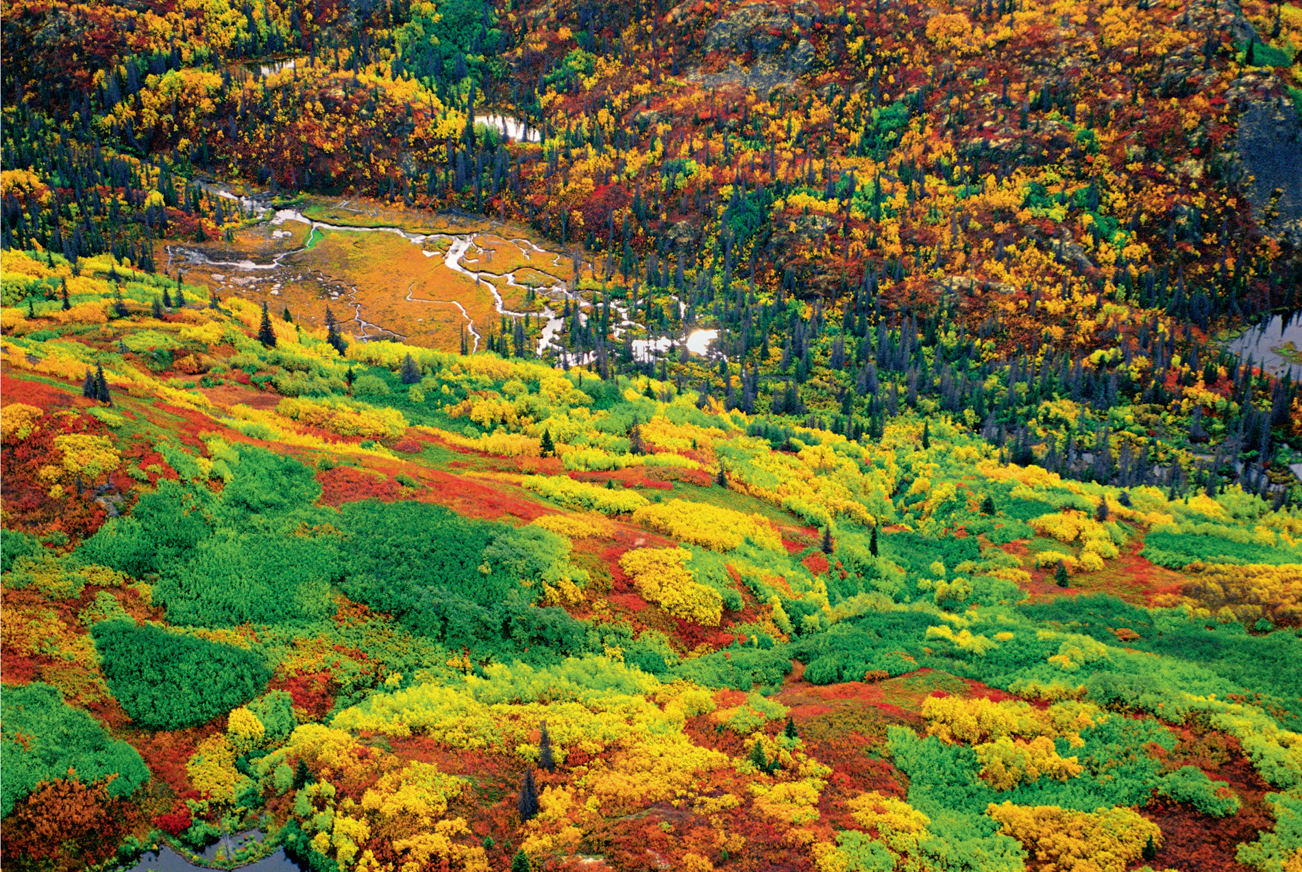 Seen from the air, fall in Wrangell–St. Elias National Park, Alaska, results in a mosaic of vibrant colours.