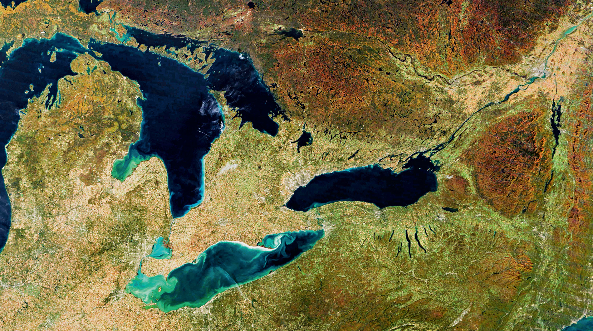 Satellite view of the Great Lakes area in the fall. The seasonal colour change of leaves turns large areas of the forest reddish-brown.