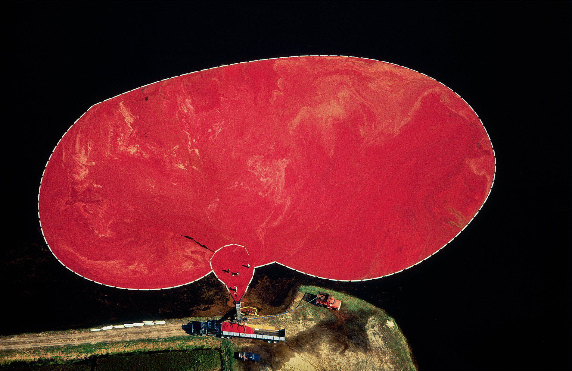 A boom encircles bright red cranberries floating on a flooded cranberry bog. A pump truck or a conveyor belt lifts the cranberries into a truck and they are taken away for processing. ‘Wet harvesting’ is more efficient than handpicking the fruit.