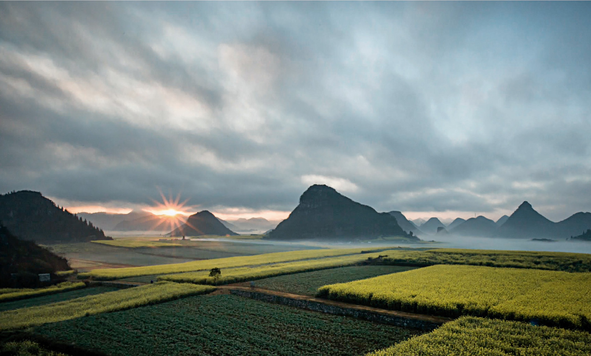 Rapeseed fields are ripening, while others have just been planted with other subsidiary crops.