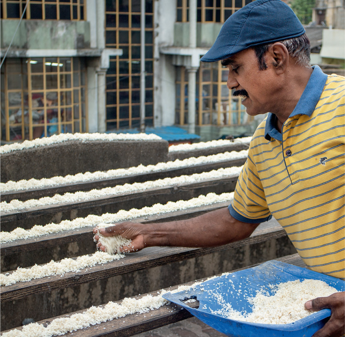 Twice each day, at sunrise and sunset, Joseph puts out boiled rice for more than 4,000 birds.