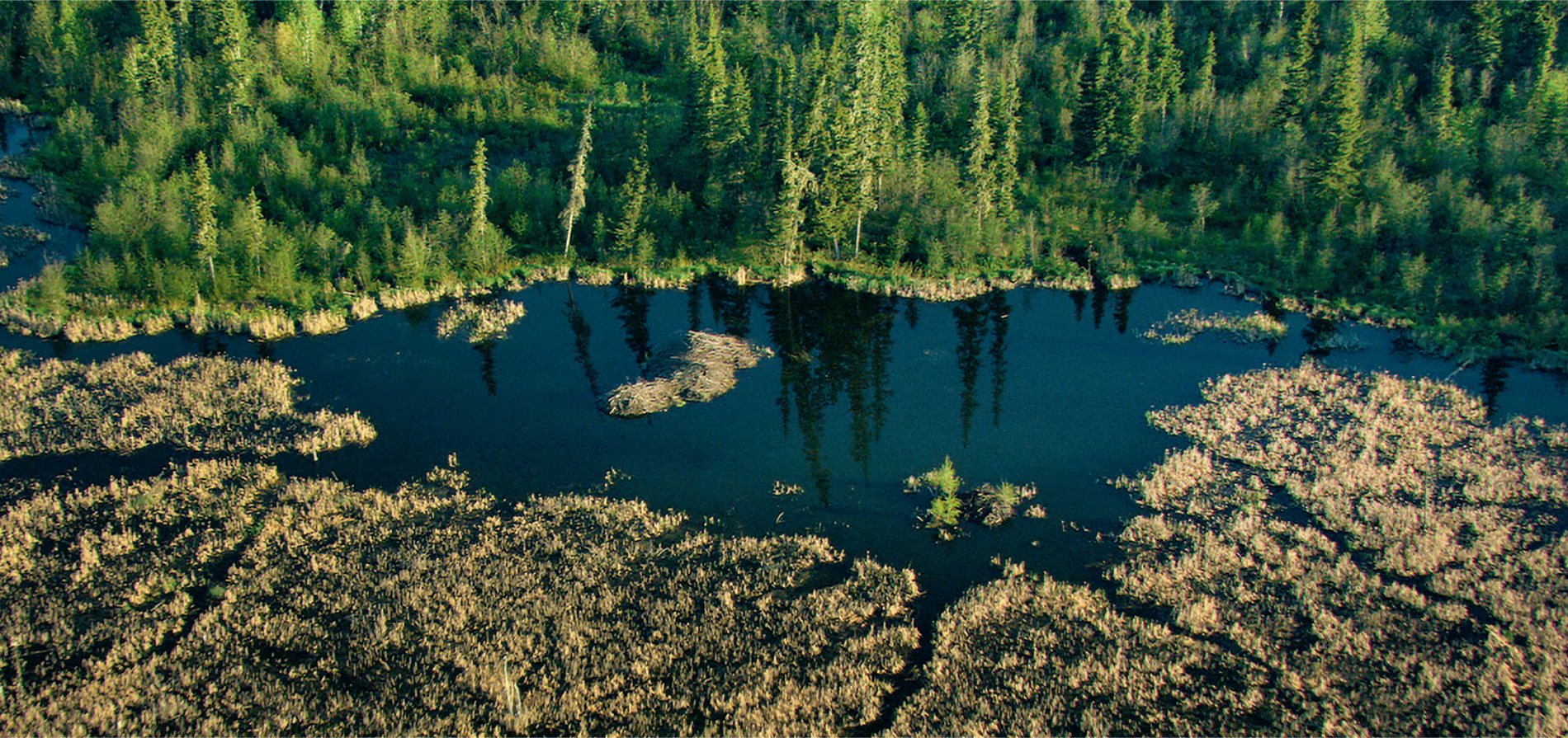 The area around the dam is a remote wilderness of inaccessible swampland and thick forest infested with blood-sucking mosquitoes, so only one person has trekked in to see the dam firsthand.