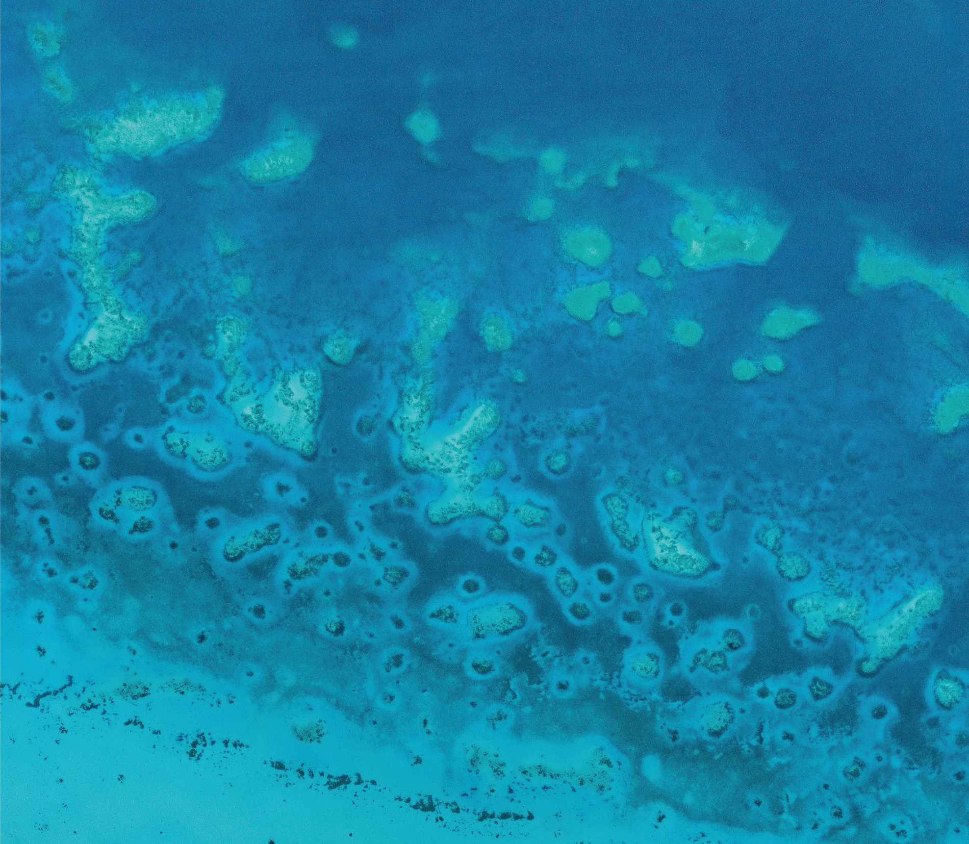 Every patch reef on this stretch of the Great Barrier Reef is surrounded by a pale blue halo. By watching changes in the size and shape of these halos, scientists can monitor from space the indirect effects of predator removals, say, from overfishing, and their impact on the health of the reef. Satellite imagery courtesy of © 2018 DigitalGlobe, a Maxar company.