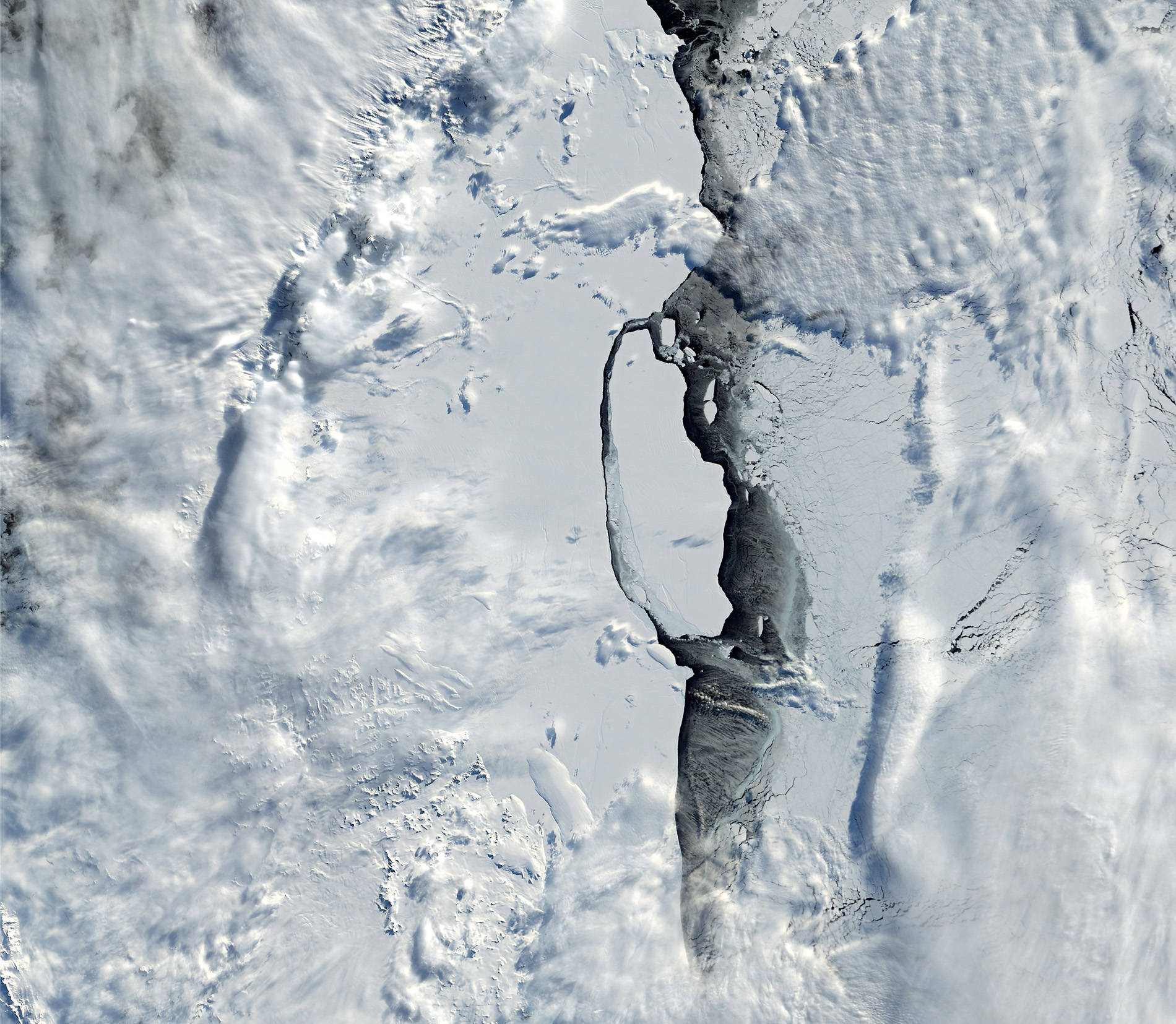 The breakaway section of the Larsen C ice shelf is in the centre of the picture. Since it broke from the mainland it has not moved far, about 65 kilometres in a year. It’s heading north very slowly, but could survive for decades. © NASA