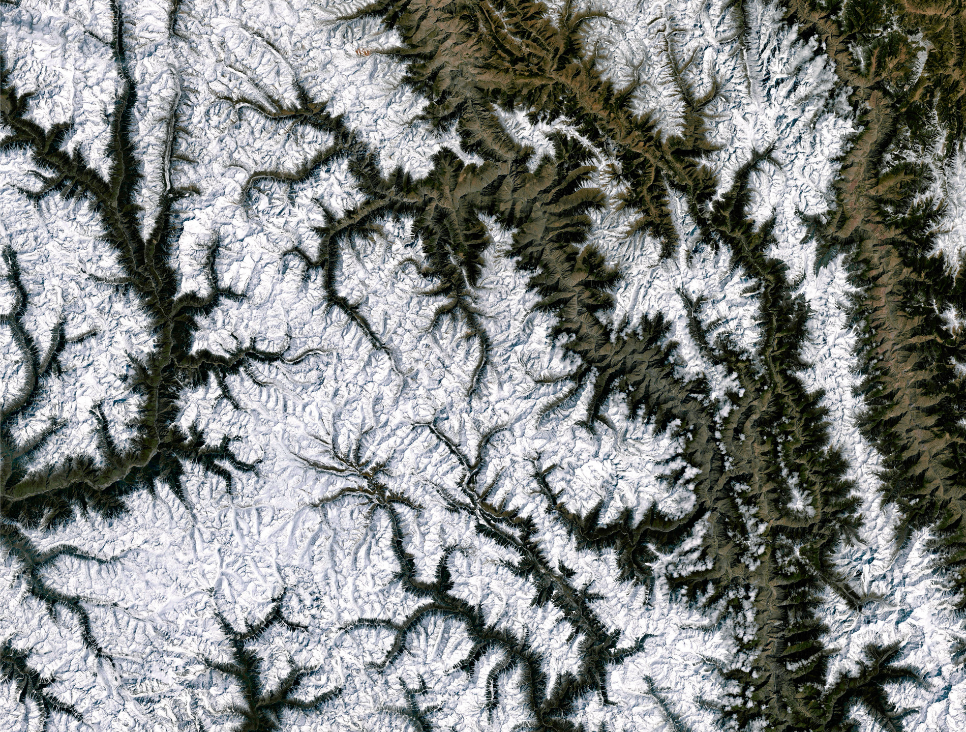 The snow-covered Hengduan Mountains and their subalpine conifer forests are home to the rare black snub-nosed monkey. © NASA