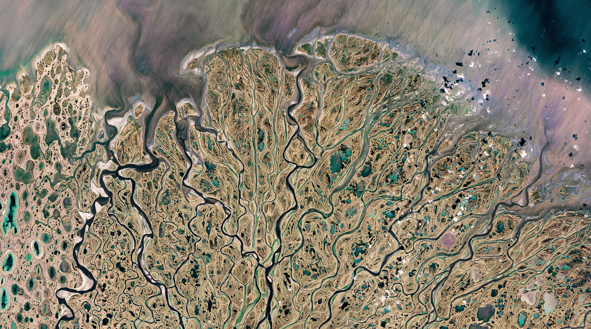 This Landsat image shows the 4,500-kilometre-long Lena River forming one of the world’s largest deltas. It is 400 kilometres wide and extends 100 kilometres into the Laptev Sea from Siberia, northern Russia. The Lena Delta Wildlife Reserve protects large populations of swans, geese and ducks that arrive each summer from around the world to breed. © NASA USGS.