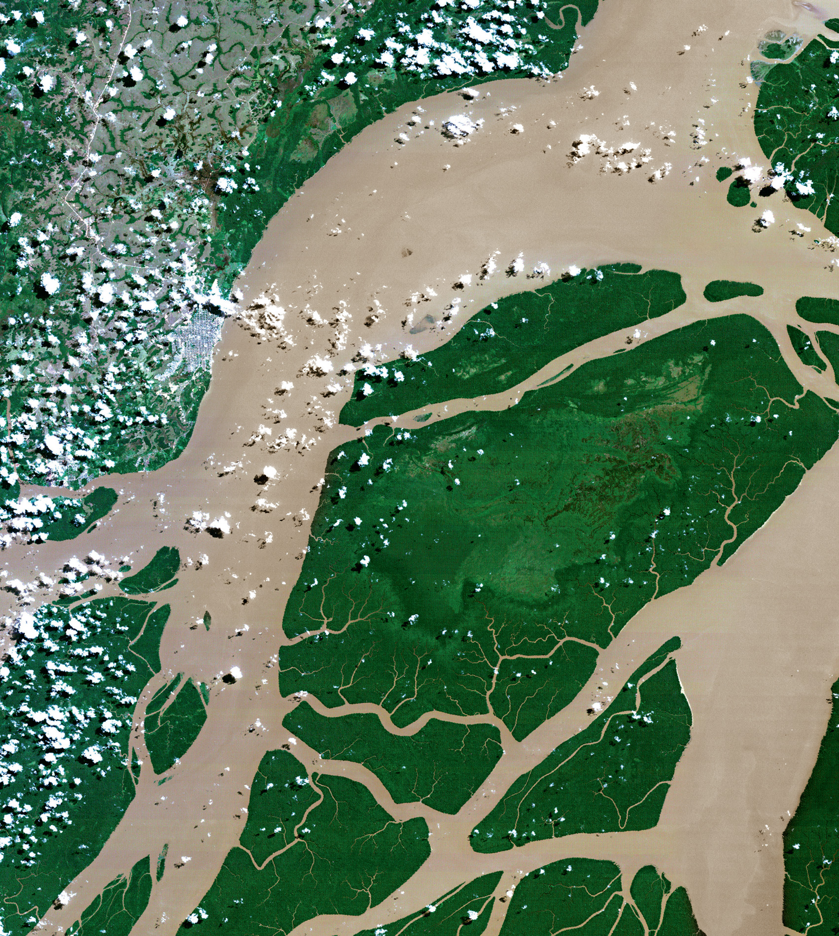 This true-colour satellite image shows the tangle of waterways in the Amazon River delta in Brazil.