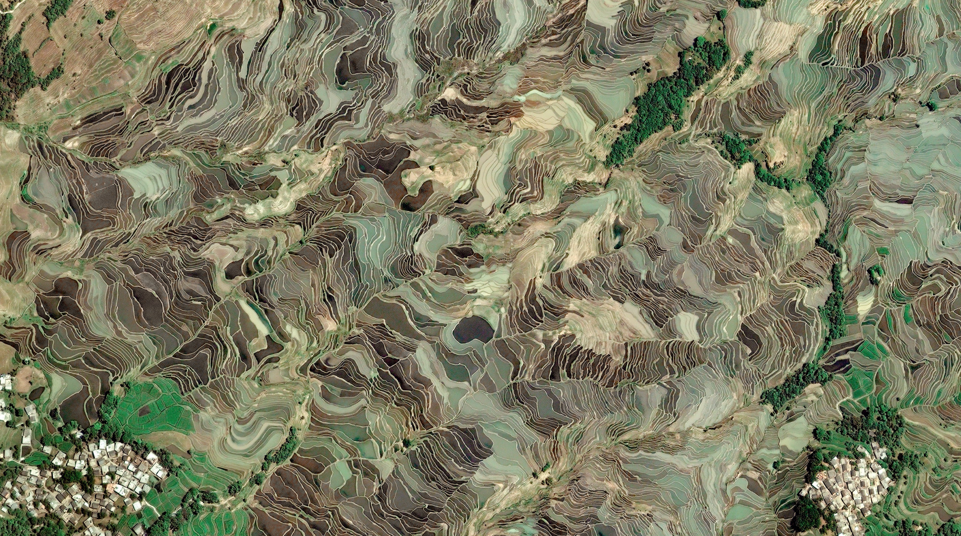 Rice terraces on mountain slopes in China’s Yunnan Province form exquisite patterns when seen from above. Some observers consider them to be the most beautiful rice terraces in the world. © 2009 DigitalGlobe, Inc.