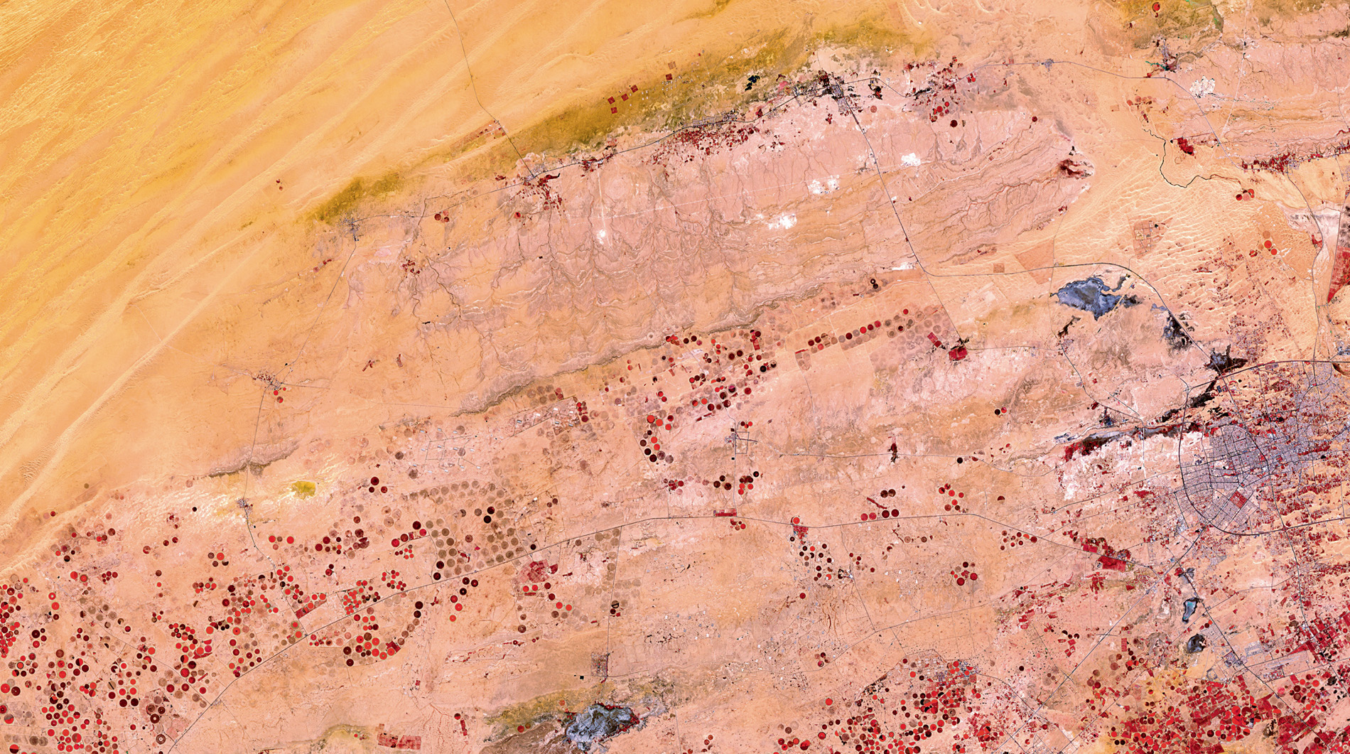 Saudi Arabia has been drilling for something even more precious than oil – water. Crops watered with a central-pivot irrigation system, each with a well at its centre, show up clearly in satellite pictures of the desert. False colour means the ‘greening’ of the desert actually shows as red circles. © 2018, Deimos Imaging SLU, an UrtheCast Company.