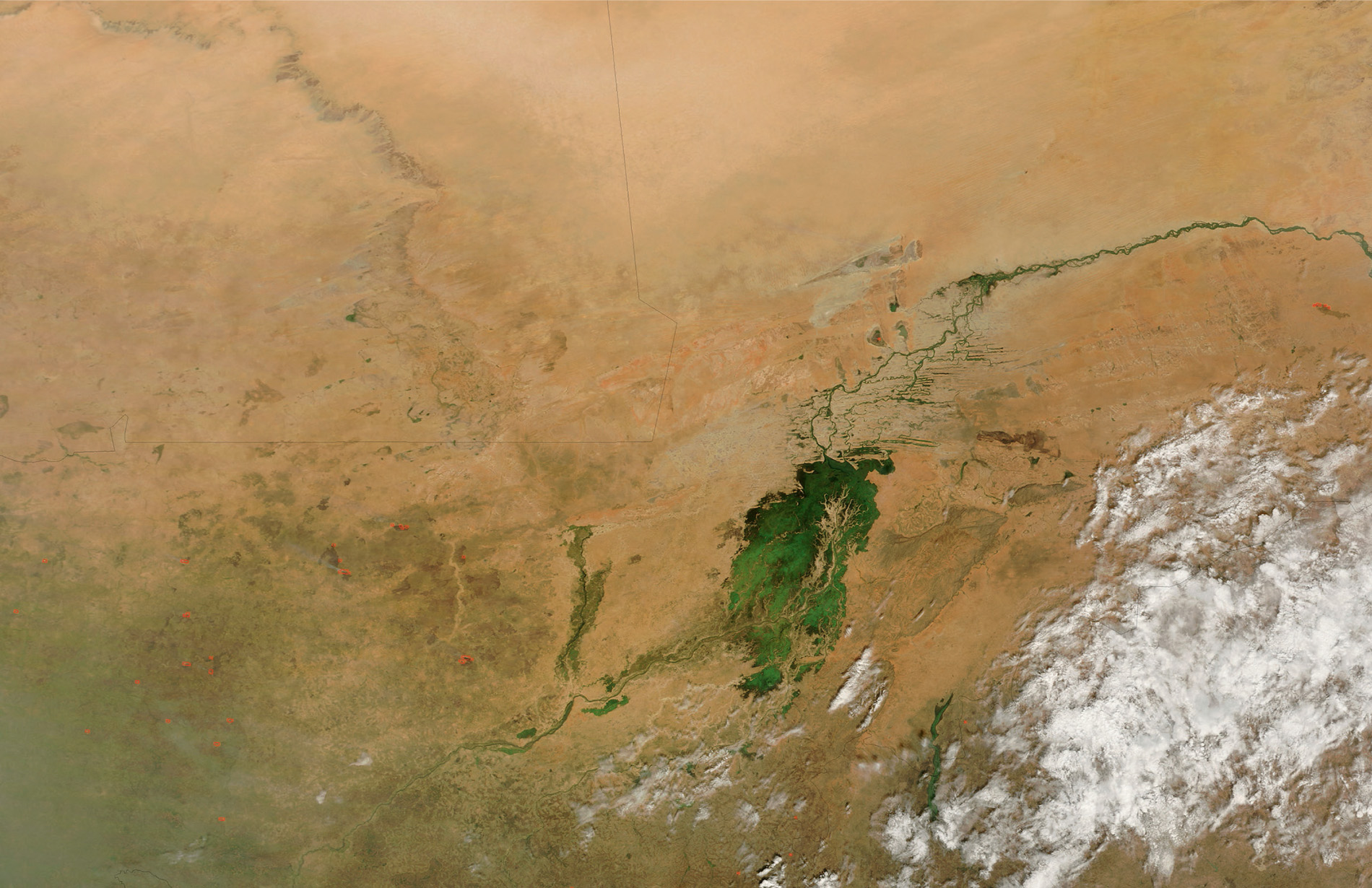 An area of green in the otherwise brown African Sahel is the desert elephants’ Lake Banzena. The lake contracts in the dry season and expands in the wet; that is, as long as a wet season occurs. © NASA