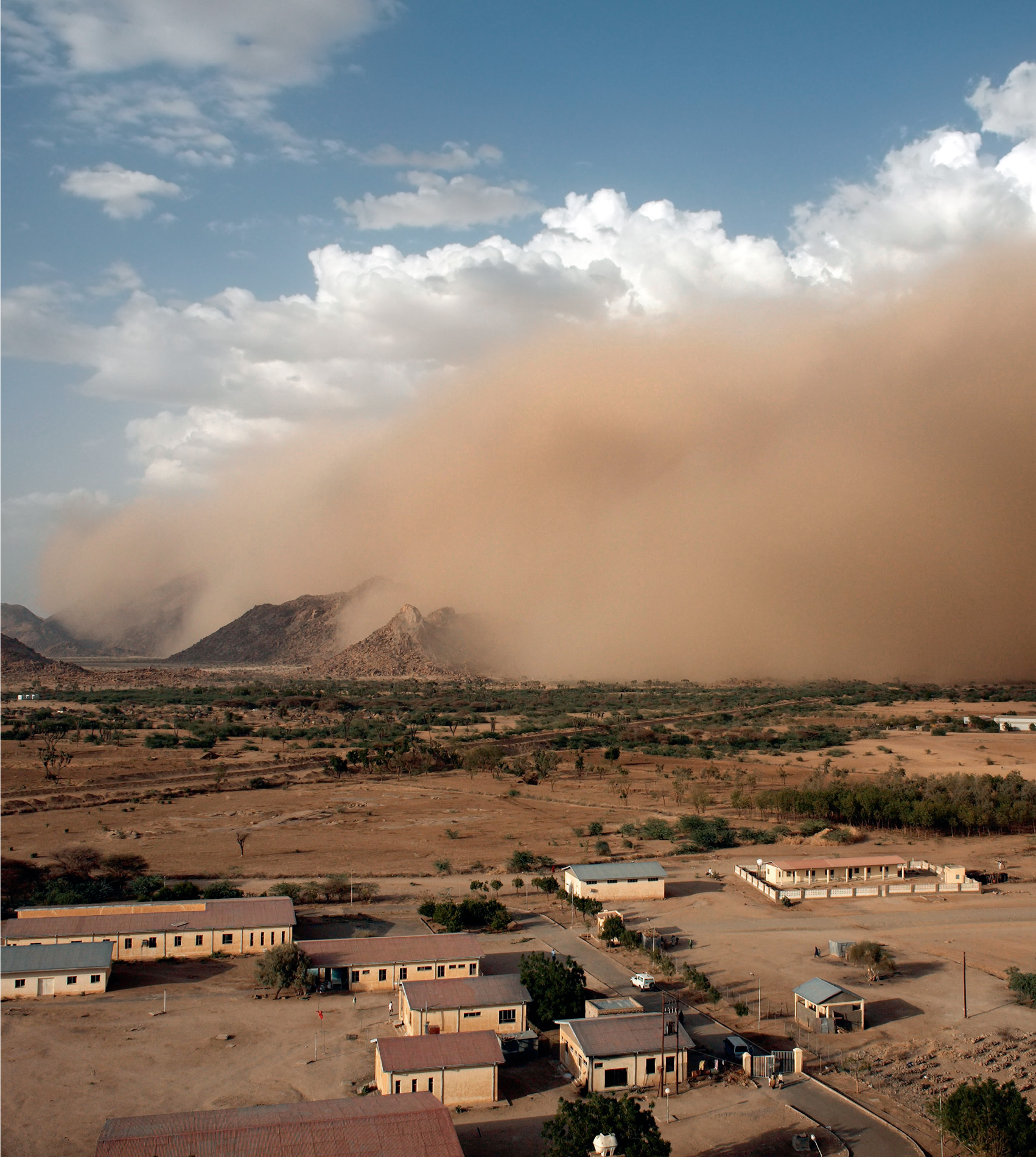 The elephant herds and local people alike frequently endure sand storms, temperatures of 50°C and water shortages.