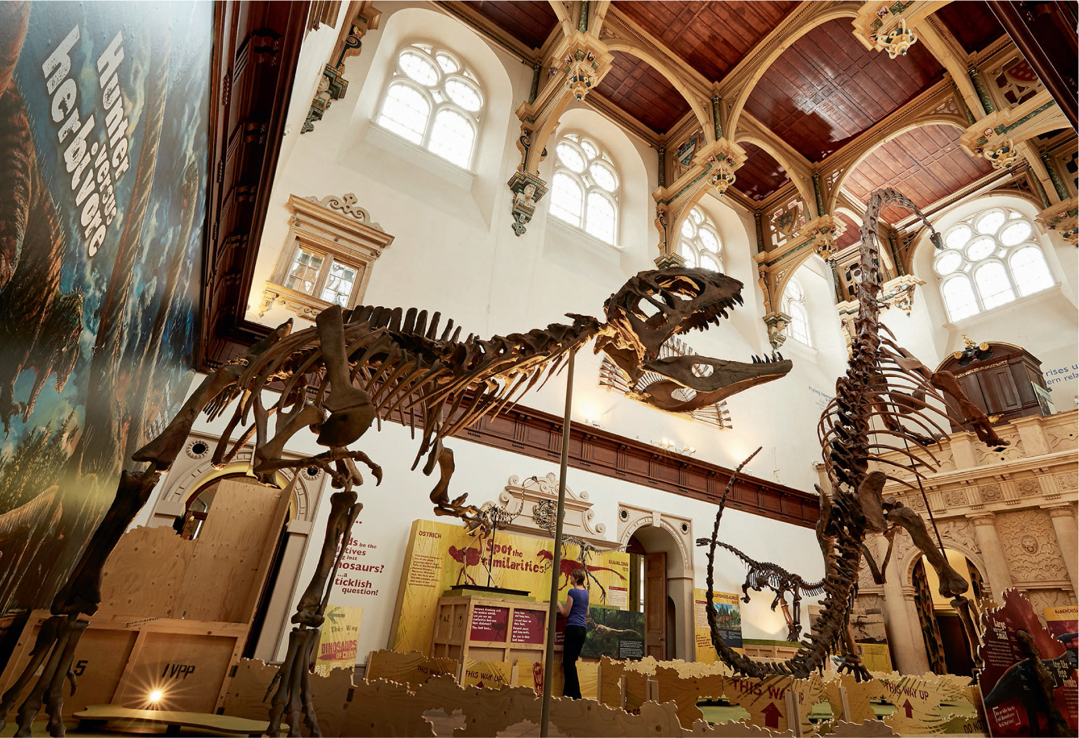 Gigantoraptor (left) and Mamenchisaurus (right) at Wollaton Hall for the ‘Dinosaurs of China’ exhibition.