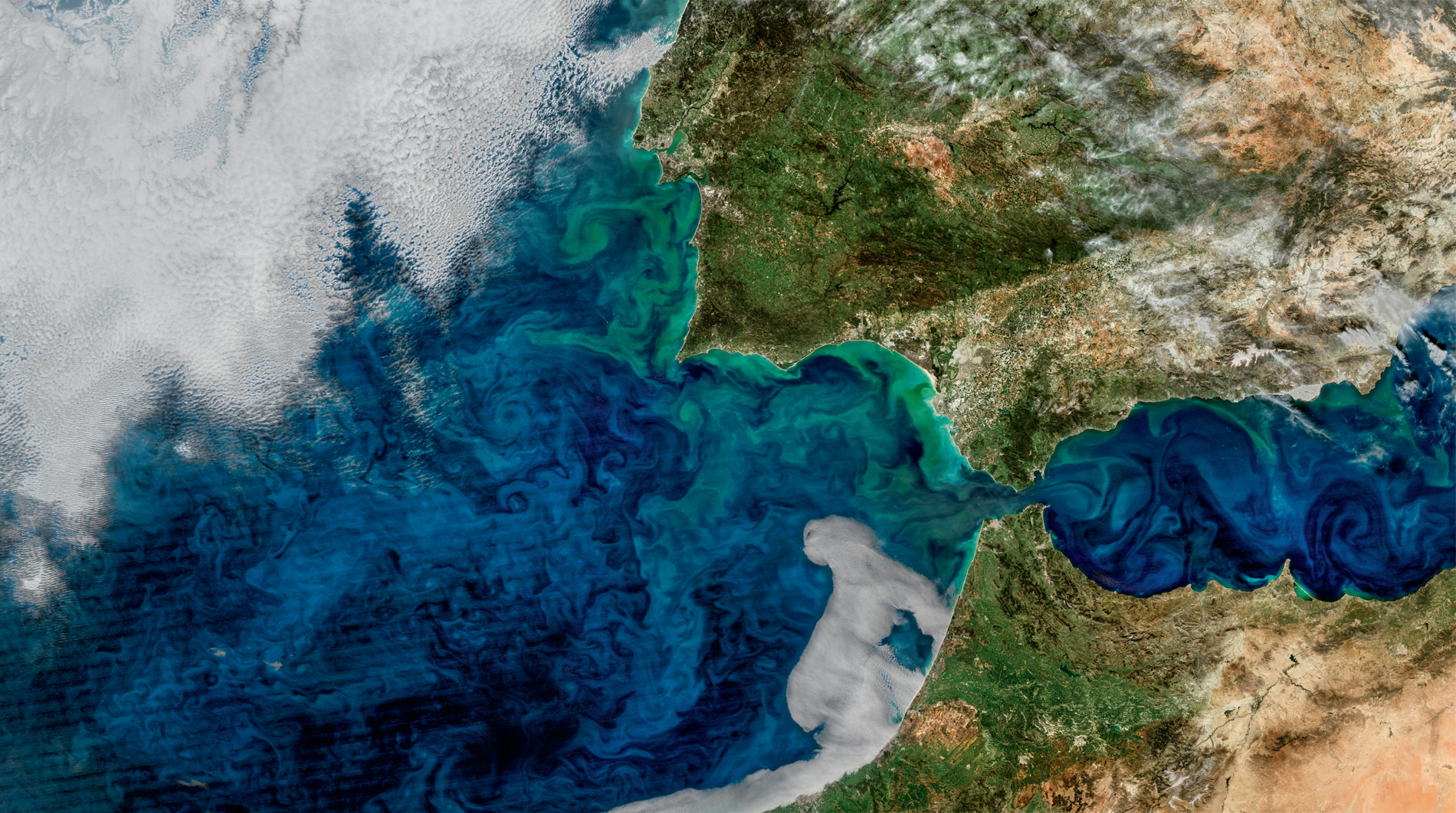 WHERE THE OCEAN MEETS THE SEA Two currents form in the Straits of Gibraltar. An upper layer of Atlantic water flows eastwards, while a lower layer of saltier waters moves out of the Mediterranean. The pattern of algae blooms reflects the movement of water in and out of the Mediterranean. © NASA