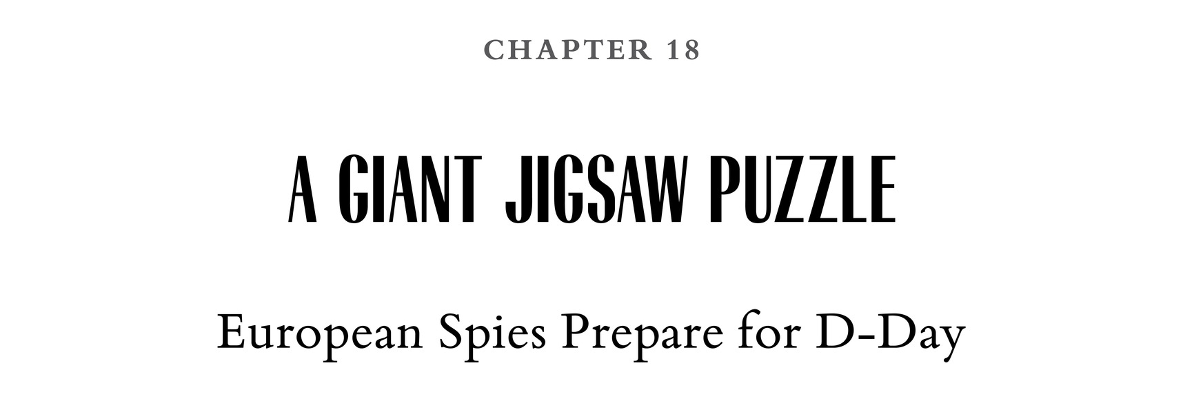 Chapter 18 A Giant Jigsaw Puzzle European Spies Prepare for D-Day