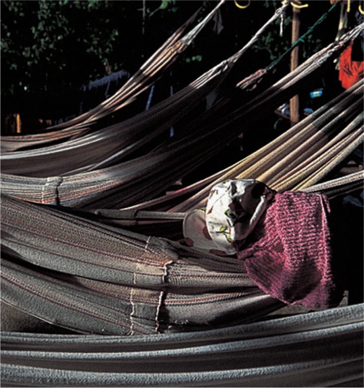 Hammocks at camp