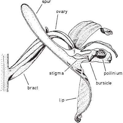 image171