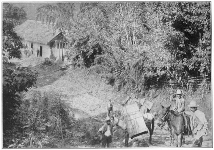 Method of Transporting Freight Between Honda and Bogotá.