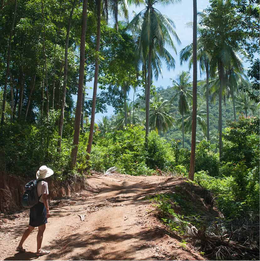 bigstock-Hiking-Through-Tropical-Forest-54150416_ThailandsBeachesAndIslands_EC.jpg