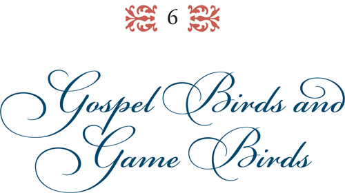 Gospel Birds and Game Birds