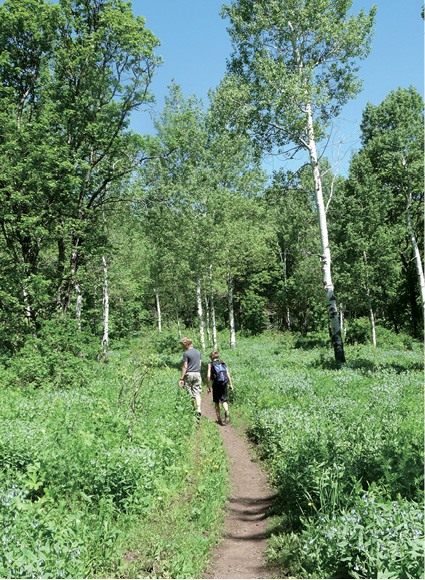 05_Ogden_Overlook_hikers.tif