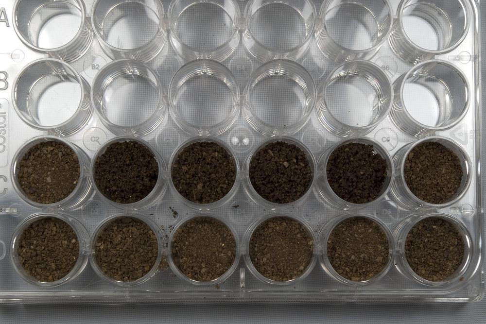 Questioned and known soil specimens in a reaction plate