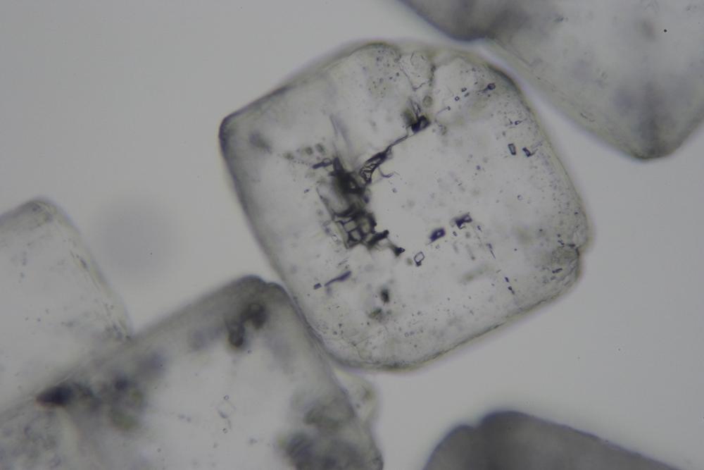 Sodium chloride crystals (RI = 1.544) in olive oil (RI = 1.467), showing high relief