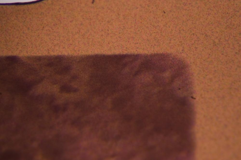 Color negative film at 40X showing no individualizable mask roughness