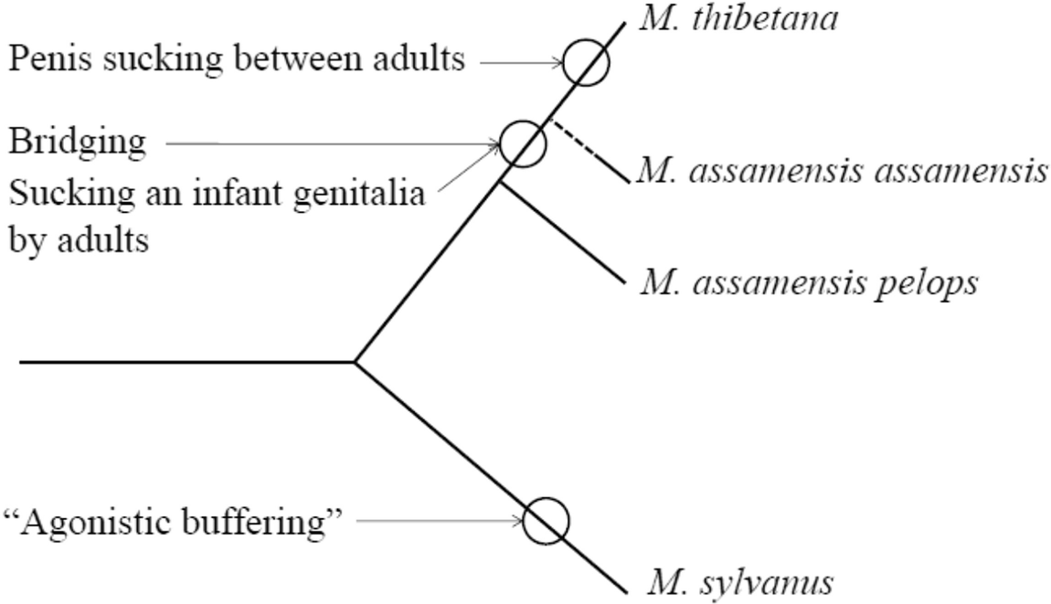 ../images/461857_1_En_10_Chapter/461857_1_En_10_Fig4_HTML.png