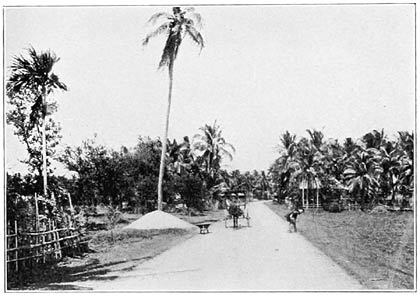 Typical New-style Country Road.