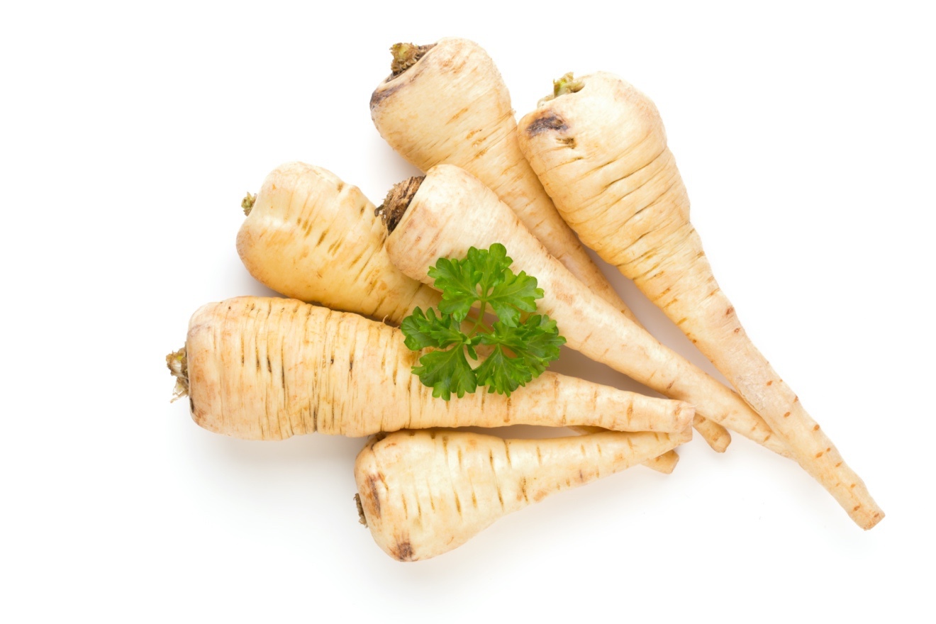 A picture containing parsnip, vegetable, sliced Description automatically generated