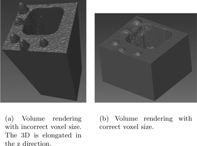 Example showing of volume rendering.