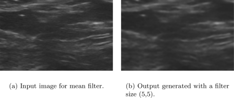 Example showing of mean filter.