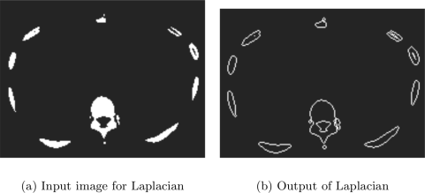 Example showing of the Laplacian filter.