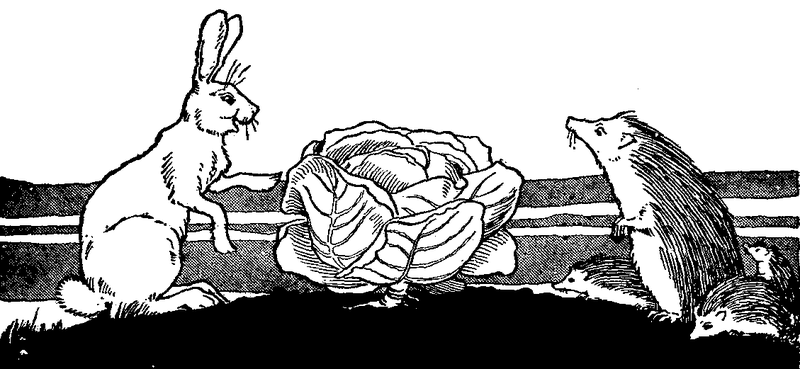 The hare and the hedgehog with a cabbage