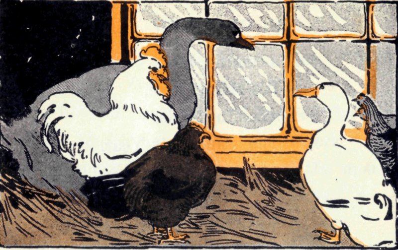 The goose and the hen