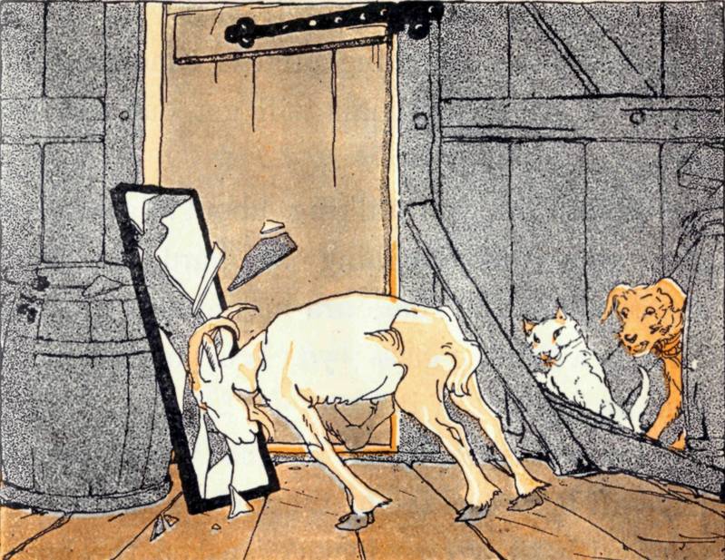 The goat crashes into the mirror