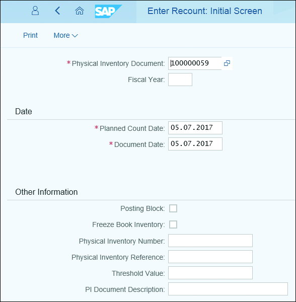 Process Physical Inventory Enter Recount: Initial Screen