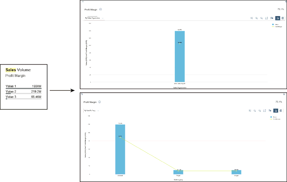 Sales Volume and Profit Margin by Sales Organization and Customer