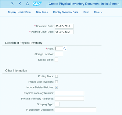 Create Physical Inventory Document: Initial Screen