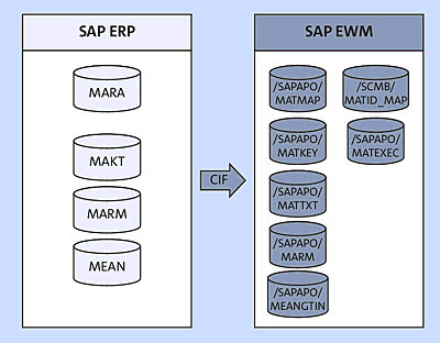 Material/Product Master Data Model in a Decentralized EWM Environment