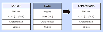 Representation of Batch Structure in Both the Decentralized and Embedded EWM Models