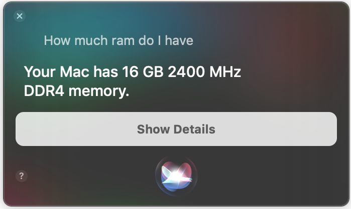 Figure 65: If you need some information about your Mac, Siri is the quickest way to get it.