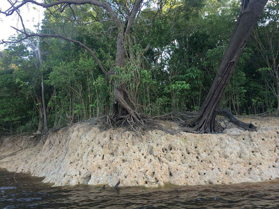 Margem de um braço do rio (um igarapé) durante a seca.