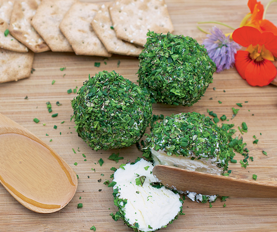 herb-encrusted goat cheese