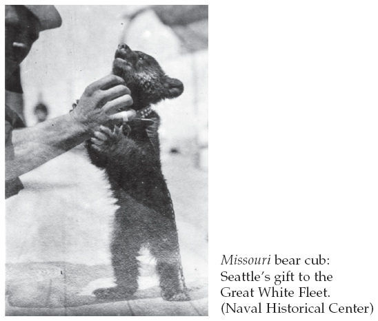 Image: Missouri bear cub: Seattle’s gift to the Great White Fleet. (Naval Historical Center)