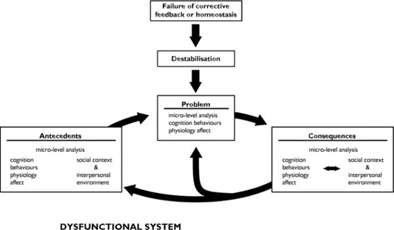 Figure 1.1