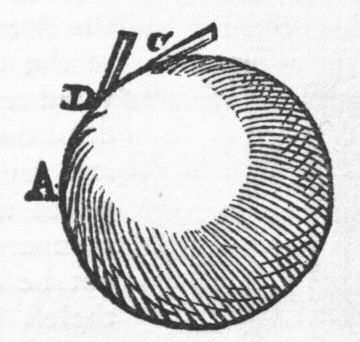 The magnetick force exists in the whole.