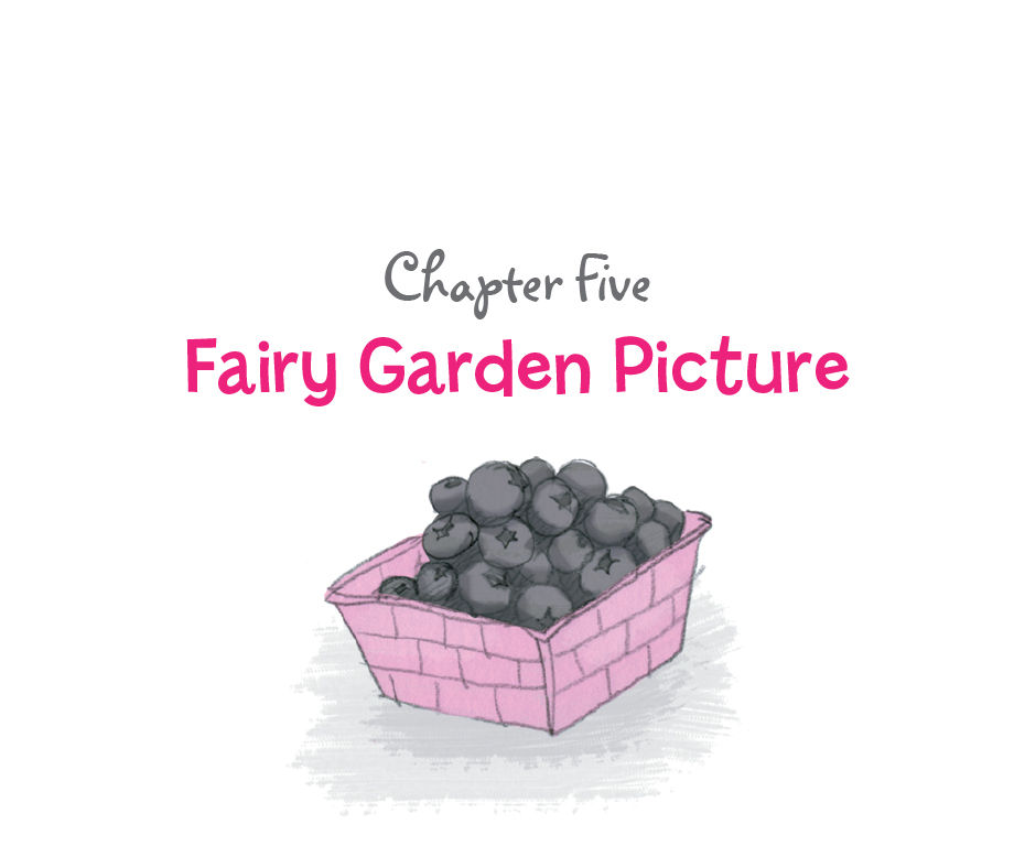 Chapter Five: Fairy Garden Picture